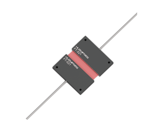 FT-S21